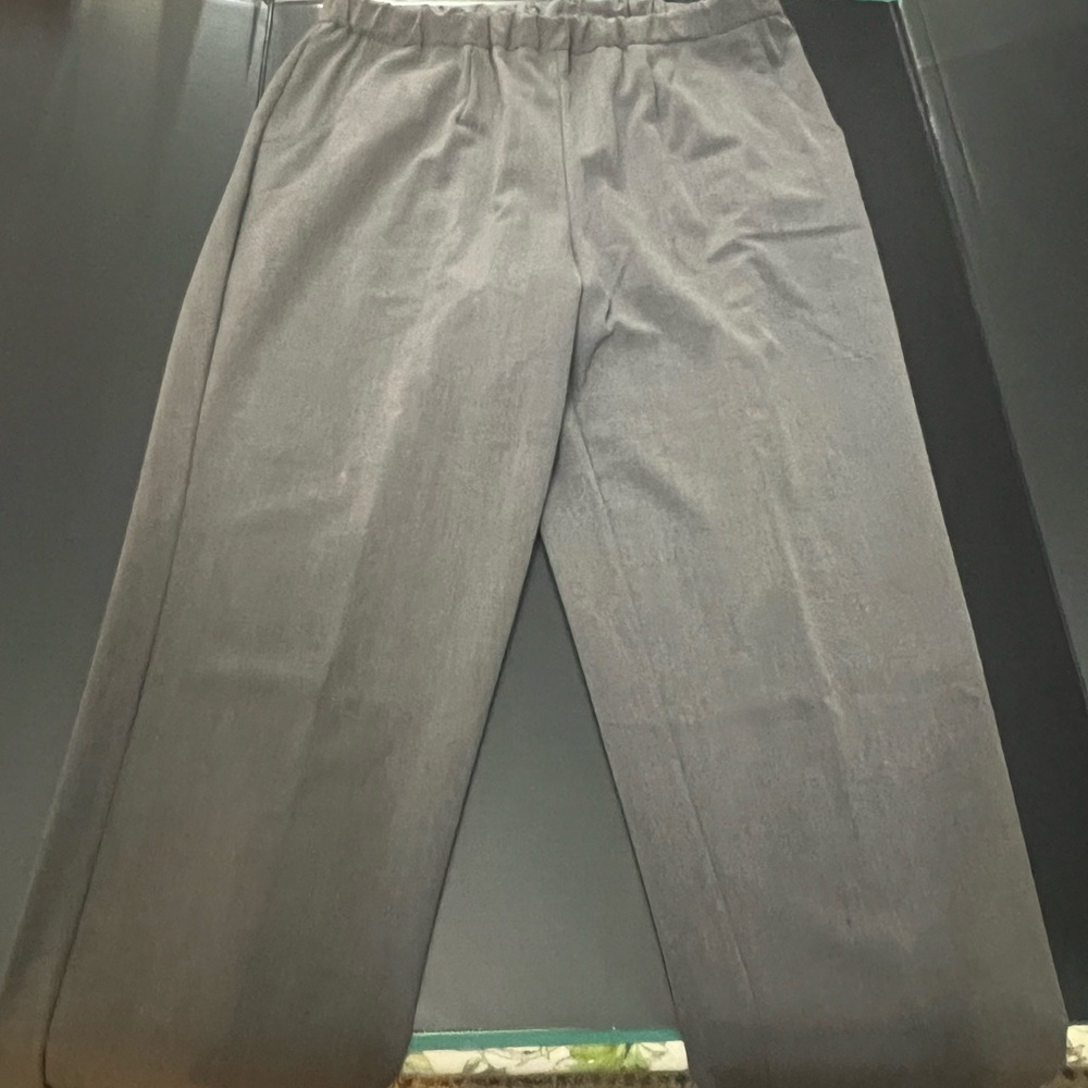 Women Gray dress Pants